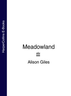 Meadowland