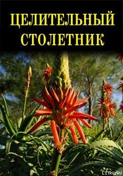 Целительный столетник