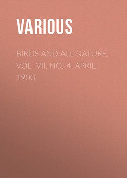 Birds and all Nature, Vol. VII, No. 4, April 1900