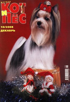 Кот и Пёс №10/2008