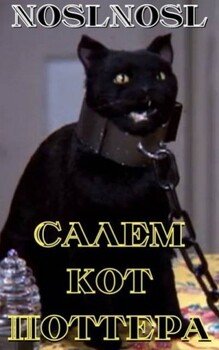 Салем, кот Поттера