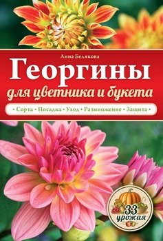 Георгины для цветника и букета