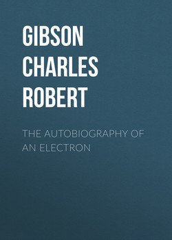 The Autobiography of an Electron