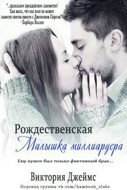 Рождественская малышка миллиардера 