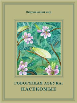 Насекомые. Окружающий мир