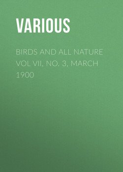 Birds and all Nature Vol VII, No. 3, March 1900