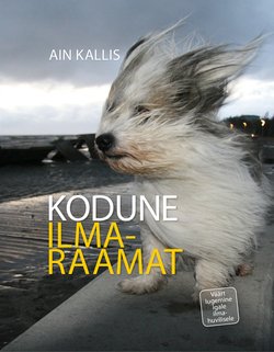 Kodune ilmaraamat. Maalehe Raamat