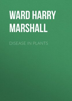 Disease in Plants