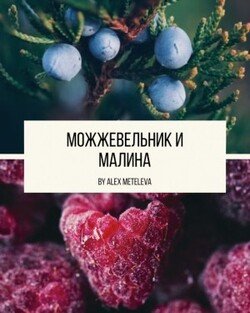 Можжевельник и малина