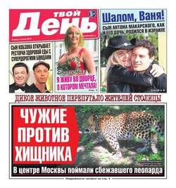 Твой день 115-2015