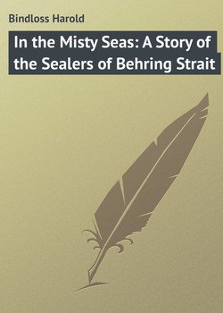 In the Misty Seas: A Story of the Sealers of Behring Strait