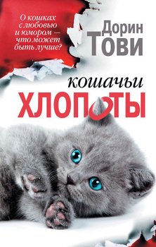 Кошачьи хлопоты 
