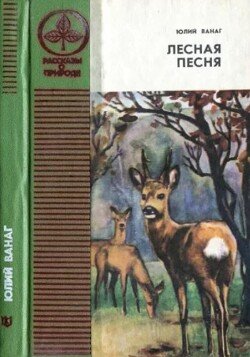 Лесная песня 