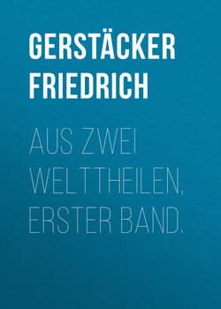 Aus zwei Welttheilen, Erster Band.