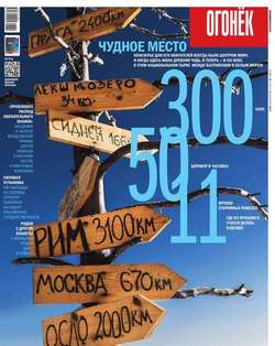 Огонёк 50-2016