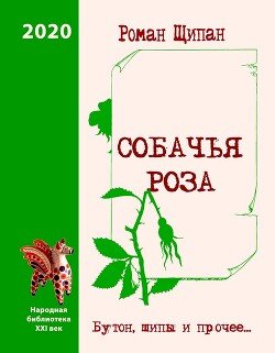 Собачья роза. Бутон, шипы и прочее…