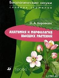 Анатомия и морфология высших растений