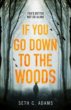 If You Go Down to the Woods: The most powerful and emotional debut thriller of 2018!