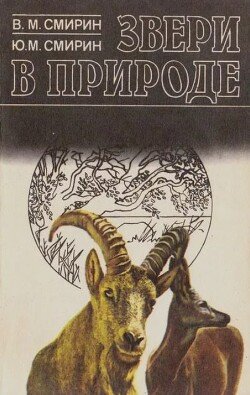 Звери в природе Звери в природе
