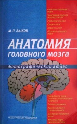 Анатомия головного мозга. Фотографический атлас