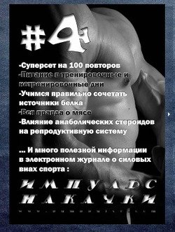 Журнал Импульс накачки №4