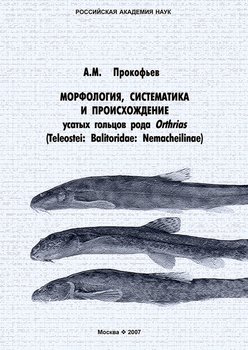 Морфология, систематика и происхождение усатых гольцов рода Orthrias