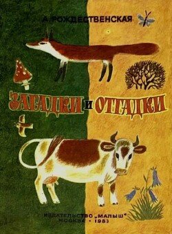 Загадки и отгадки