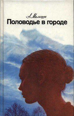 Половодье в городе