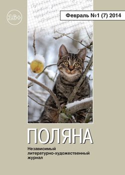 Поляна №1 , февраль 2014