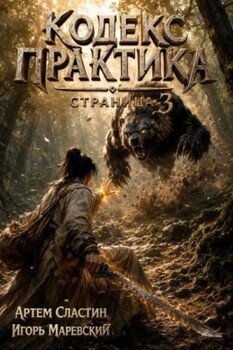 Кодекс Практика: Страница 3