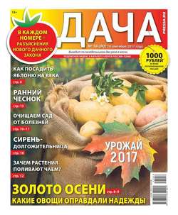 Дача Pressa.ru 18-2017