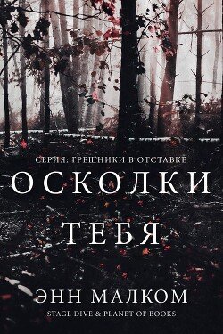 Осколки тебя 