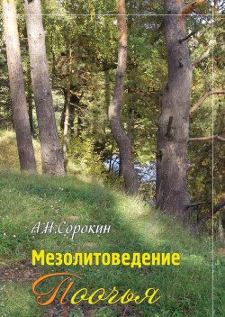 Мезолитоведение Поочья