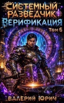 Системный разведчик. Верификация Том 6