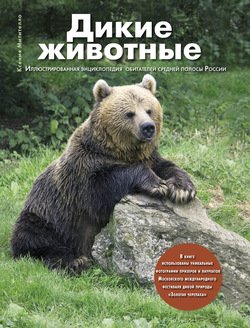 Дикие животные. Иллюстрированная энциклопедия обитателей средней полосы России