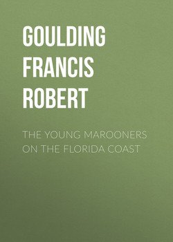 The Young Marooners on the Florida Coast