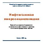 Нефтегазовая микроэнциклопедия