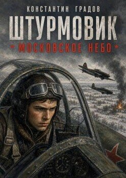 Штурмовик. Московское небо.