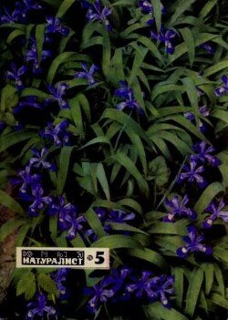 Юный натуралист 1971 №05
