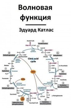 Волновая функция