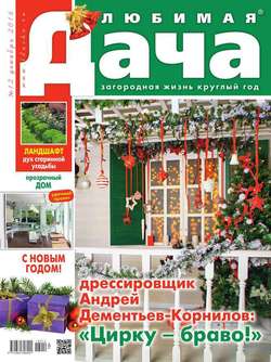 Любимая Дача 12-2016