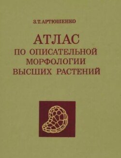 Атлас по описательной морфологии высших растений