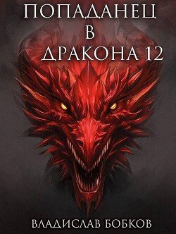 Попаданец в Дракона 12
