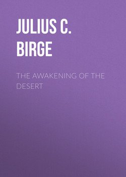 The Awakening of the Desert
