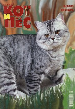 Кот и Пёс №08/2003