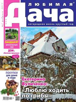 Любимая Дача 02-2017