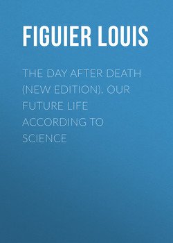 The Day After Death . Our Future Life According to Science