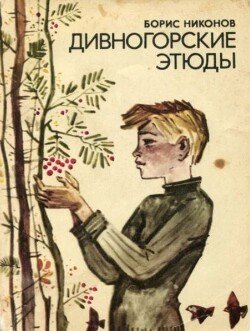 Дивногорские этюды