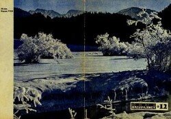 Юный натуралист 1970 №12