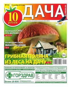 Дача 16-2014